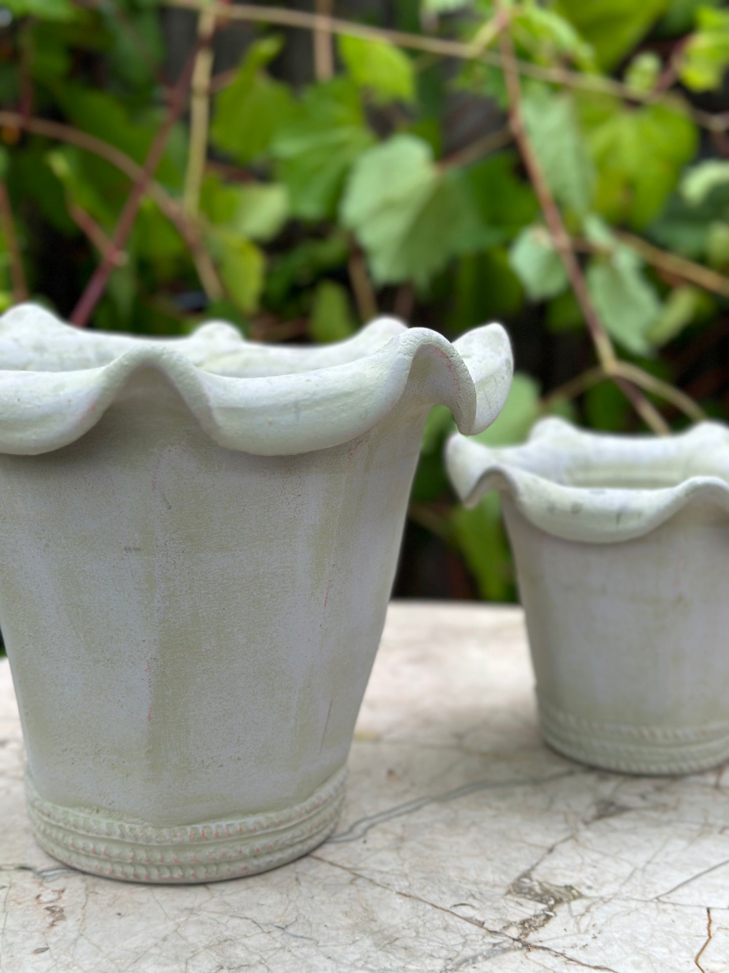 Terracotta - Ruffled Rim Gray