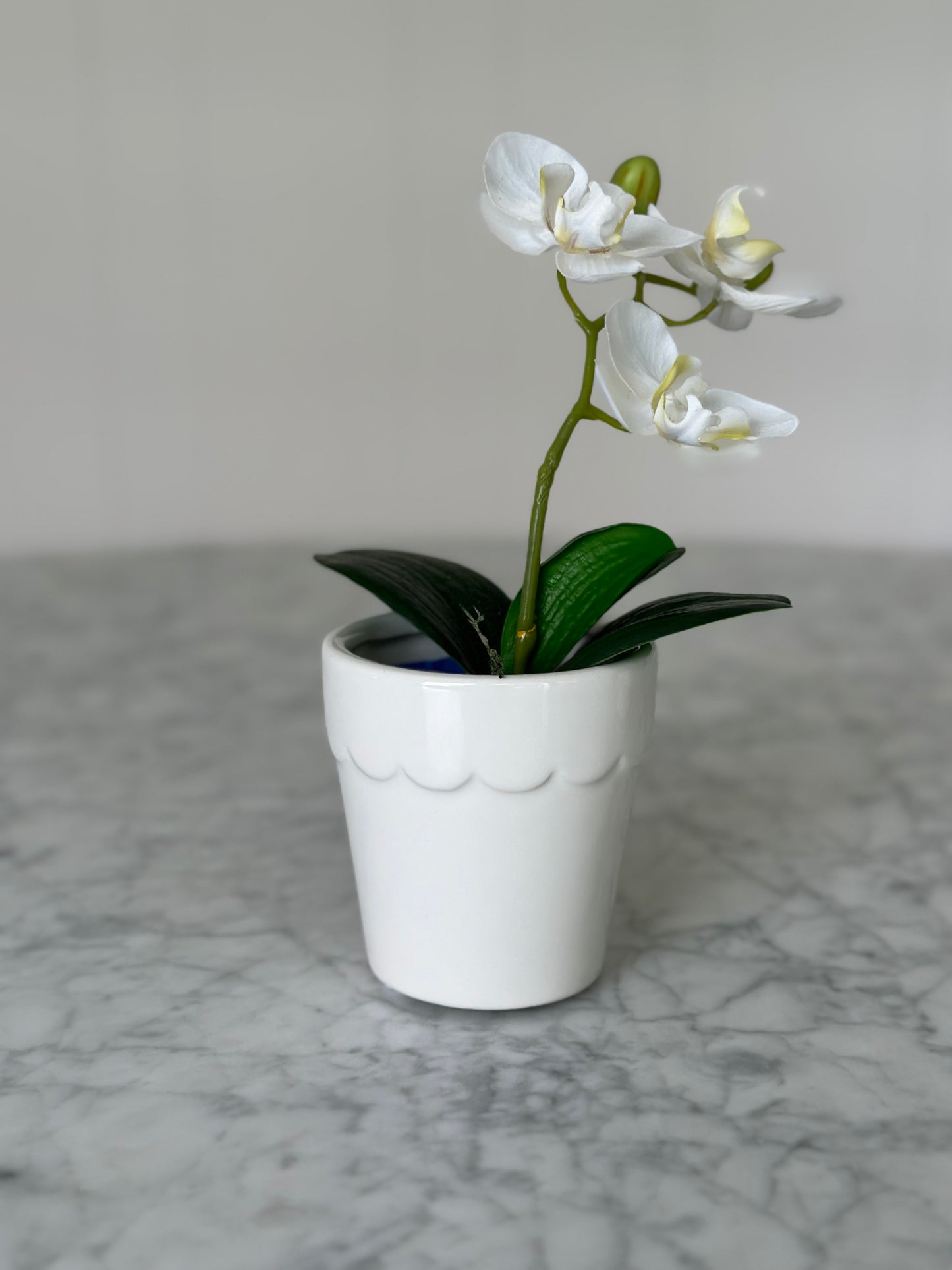 small white pot with beaded rim