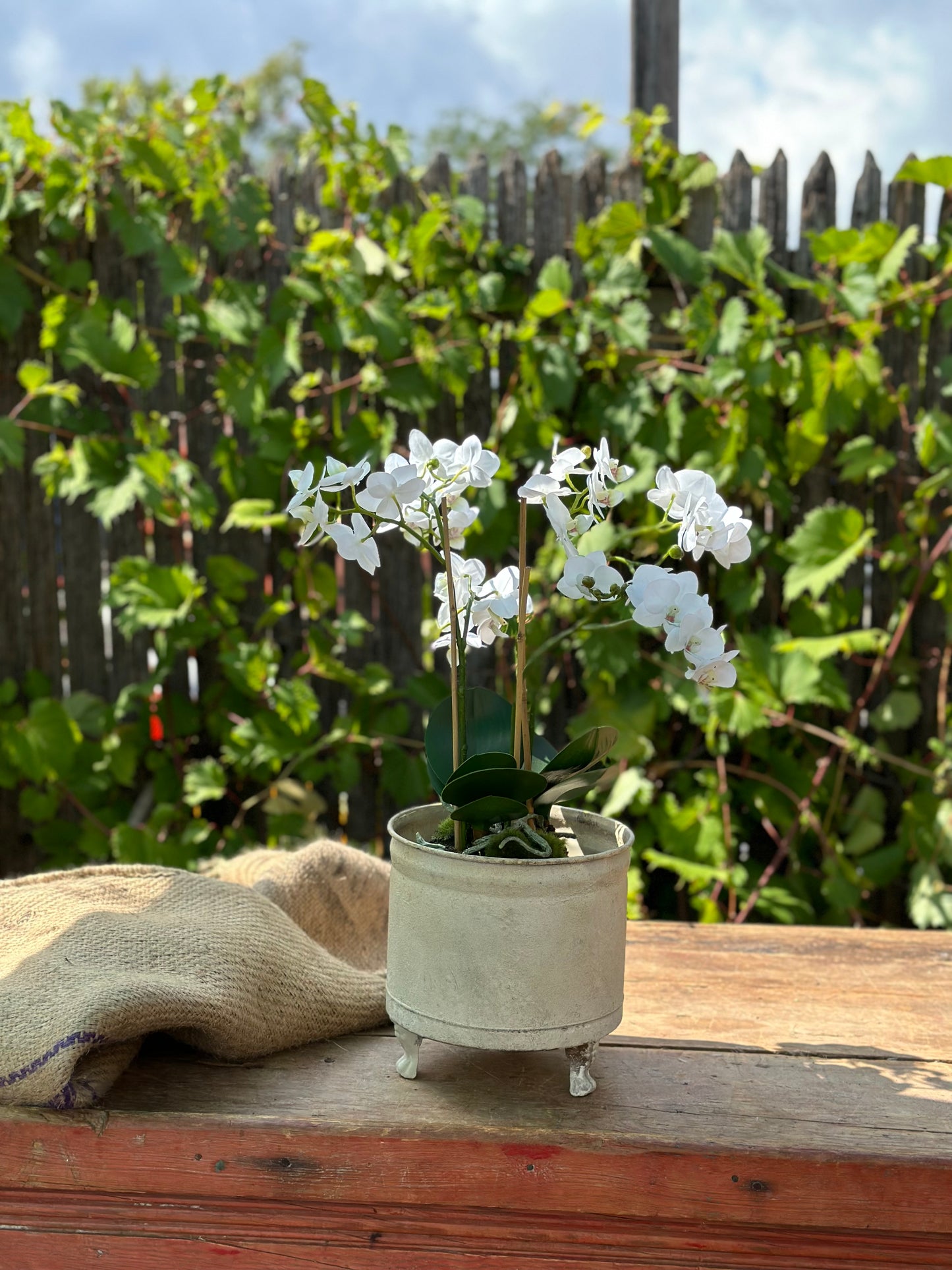 Distressed Metal - Round Footed Planter, 8"w x 8"d x 8"h