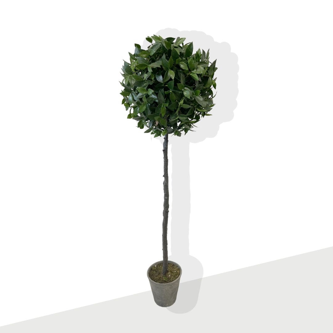 Artificial Tree - Bay Leaf XL Topiary