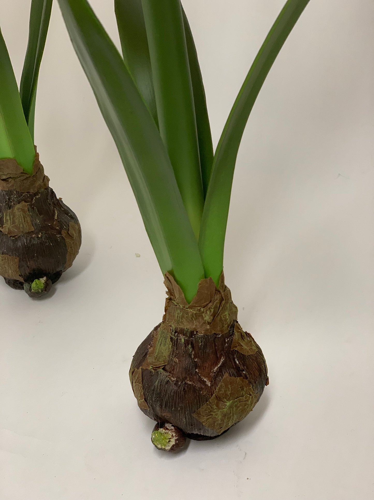 Faux standing Amaryllis with Bulb 21”h x 3”bulb