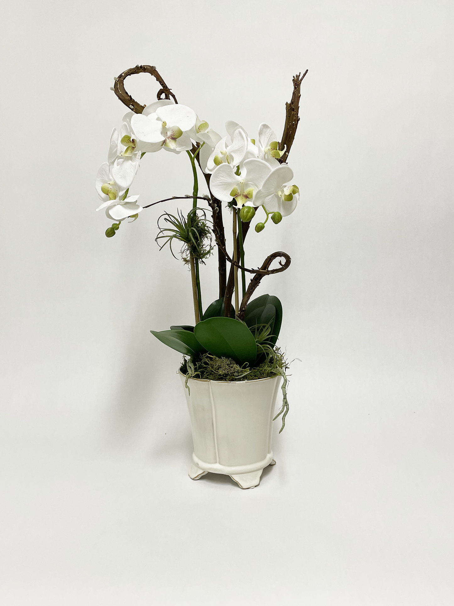 Artificial - White Orchid & Stem in cream, footed container