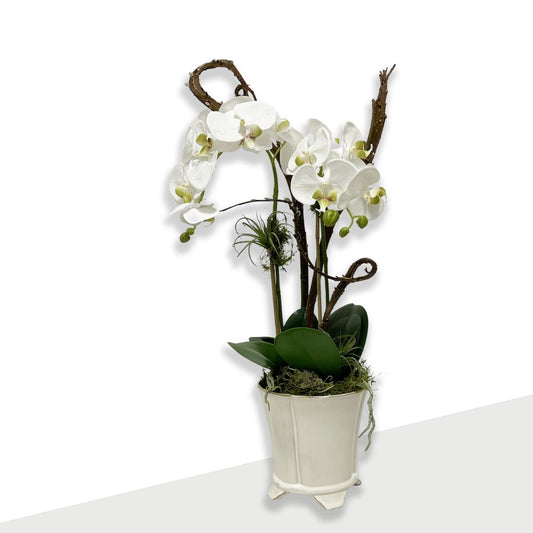Artificial - White Orchid & Stem in cream, footed container