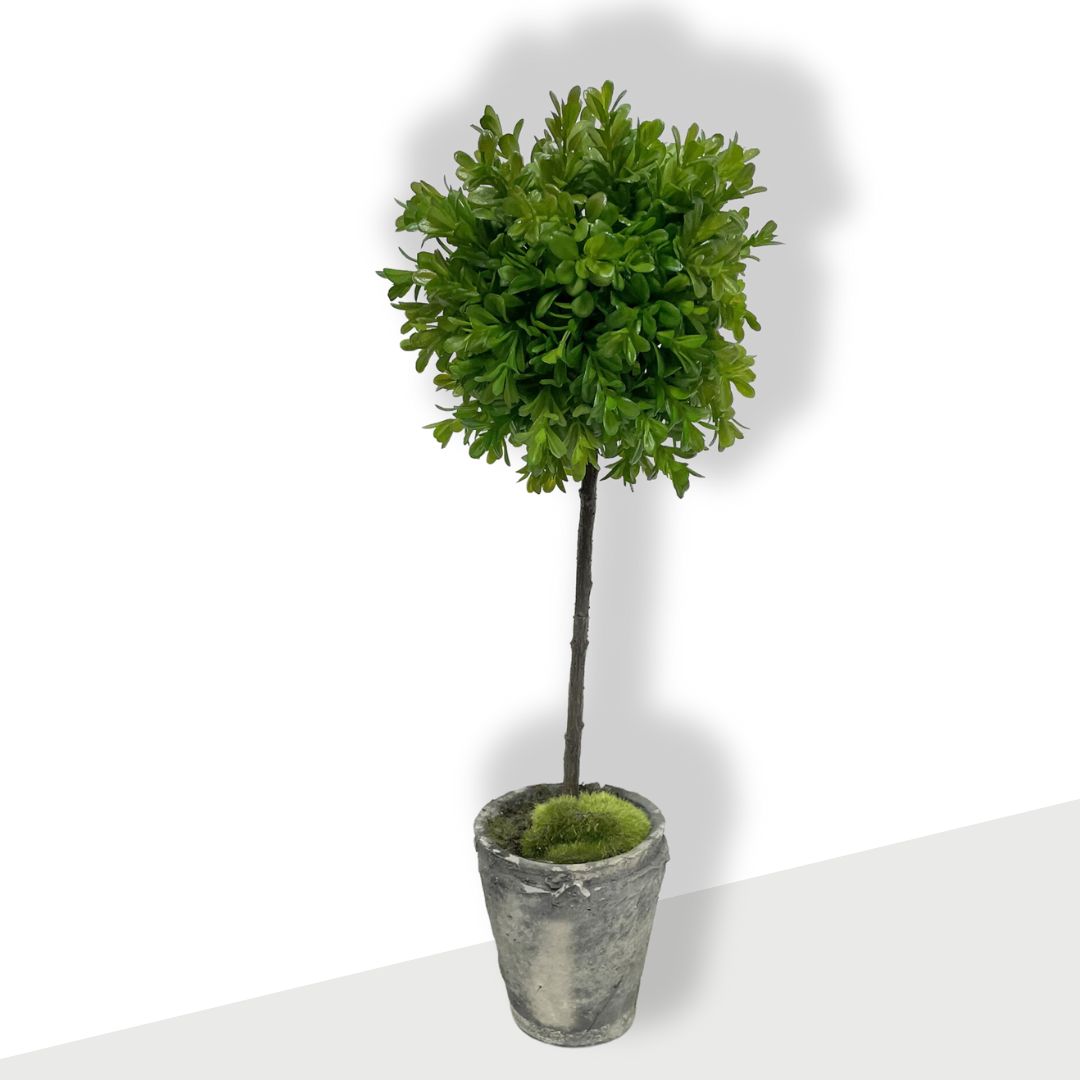 Artificial -Faux Boxwood Topiary Mini with Moss