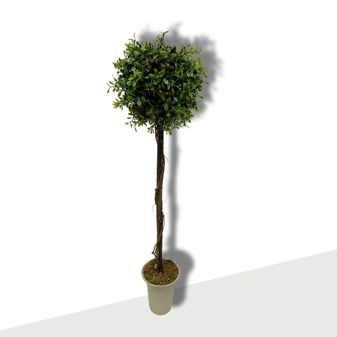 Artificial - Faux Boxwood Topiary with Twisted Vine Trunk