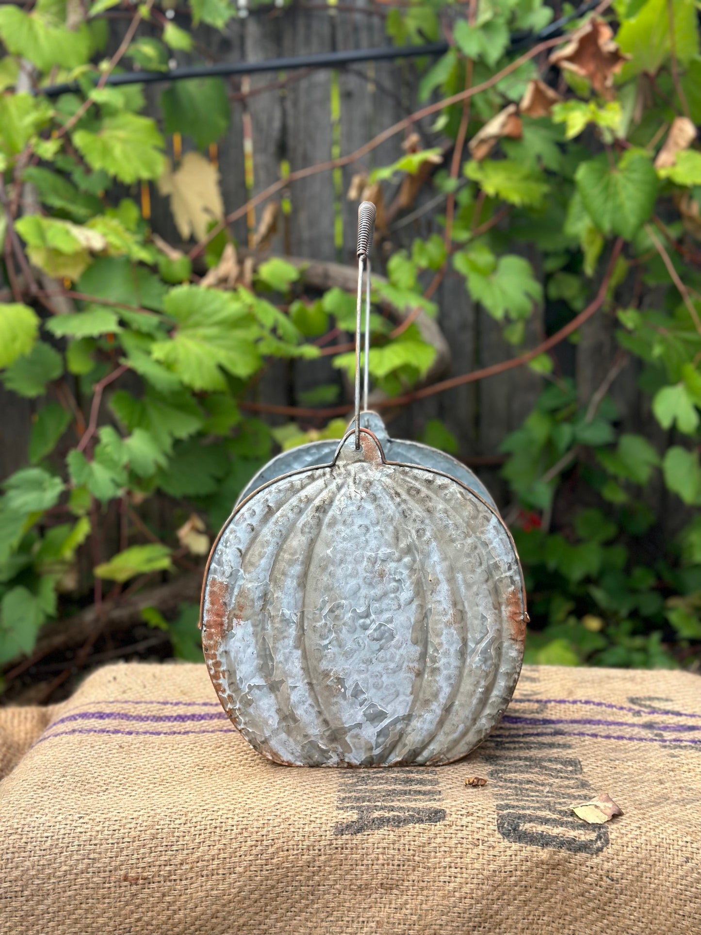 Metal - Pumpkin Planter with Handle Round
