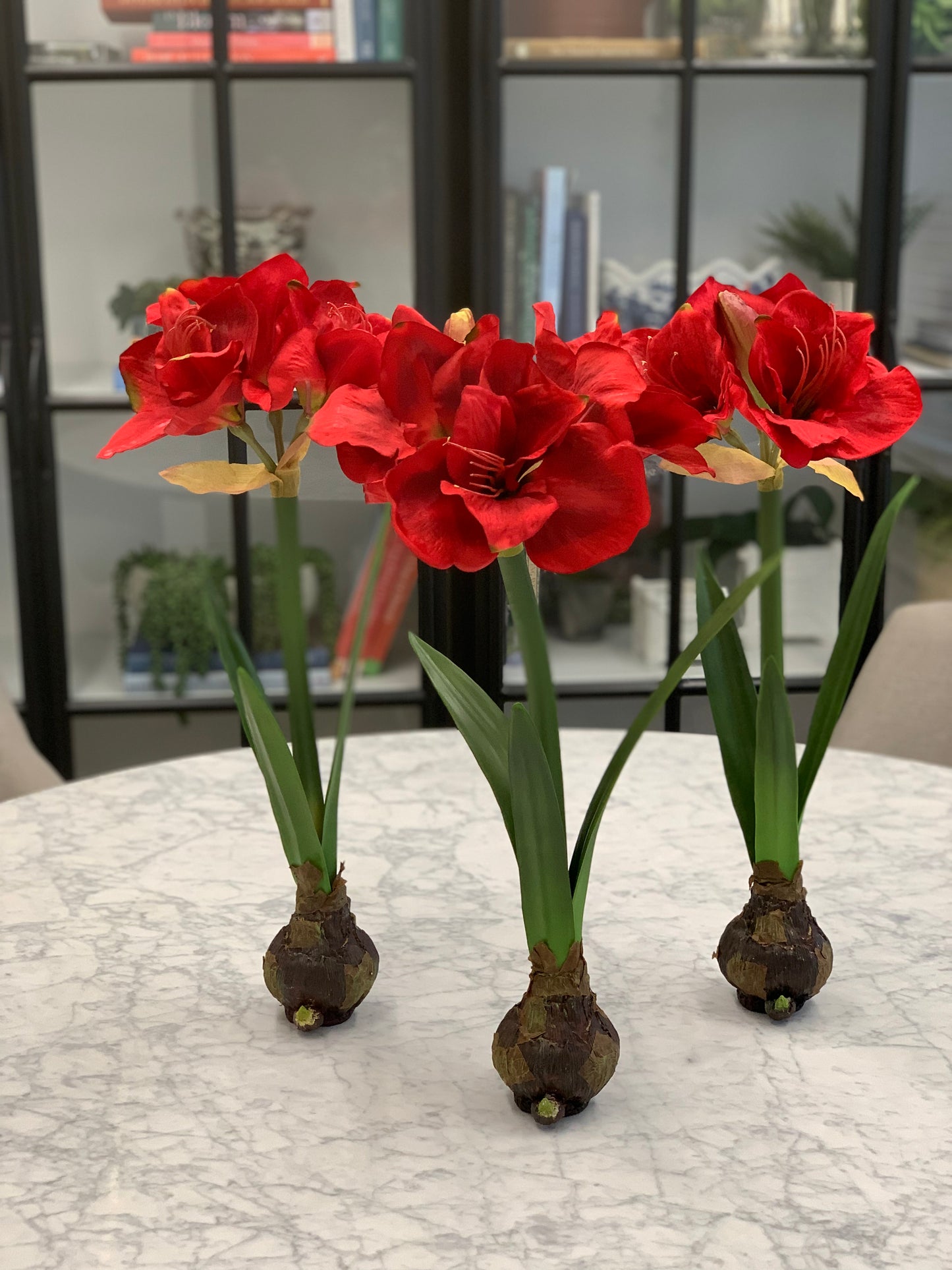 Faux standing Amaryllis with Bulb 21”h x 3”bulb