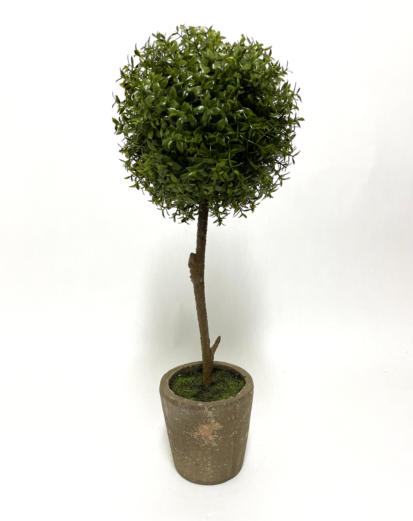 Artificial - Faux Boxwood Topiary in Grey container