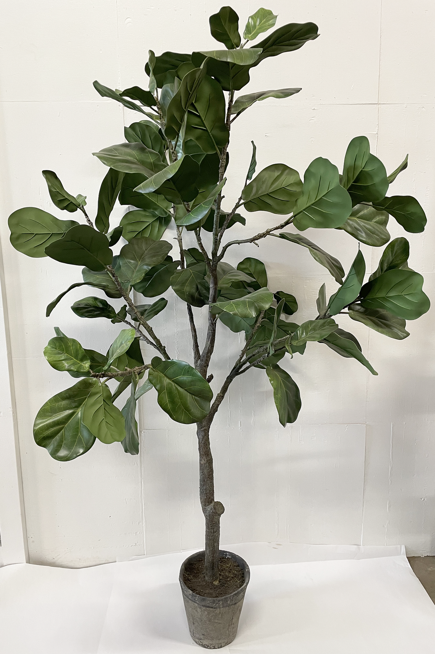 Artificial Tree - Fiddle Leaf Fig Tree