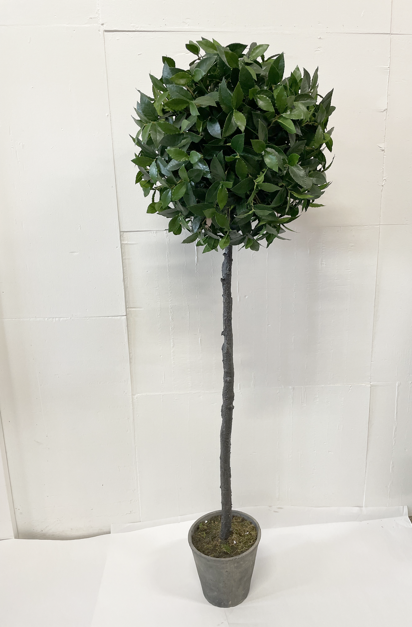 Artificial Tree - Bay Leaf XL Topiary
