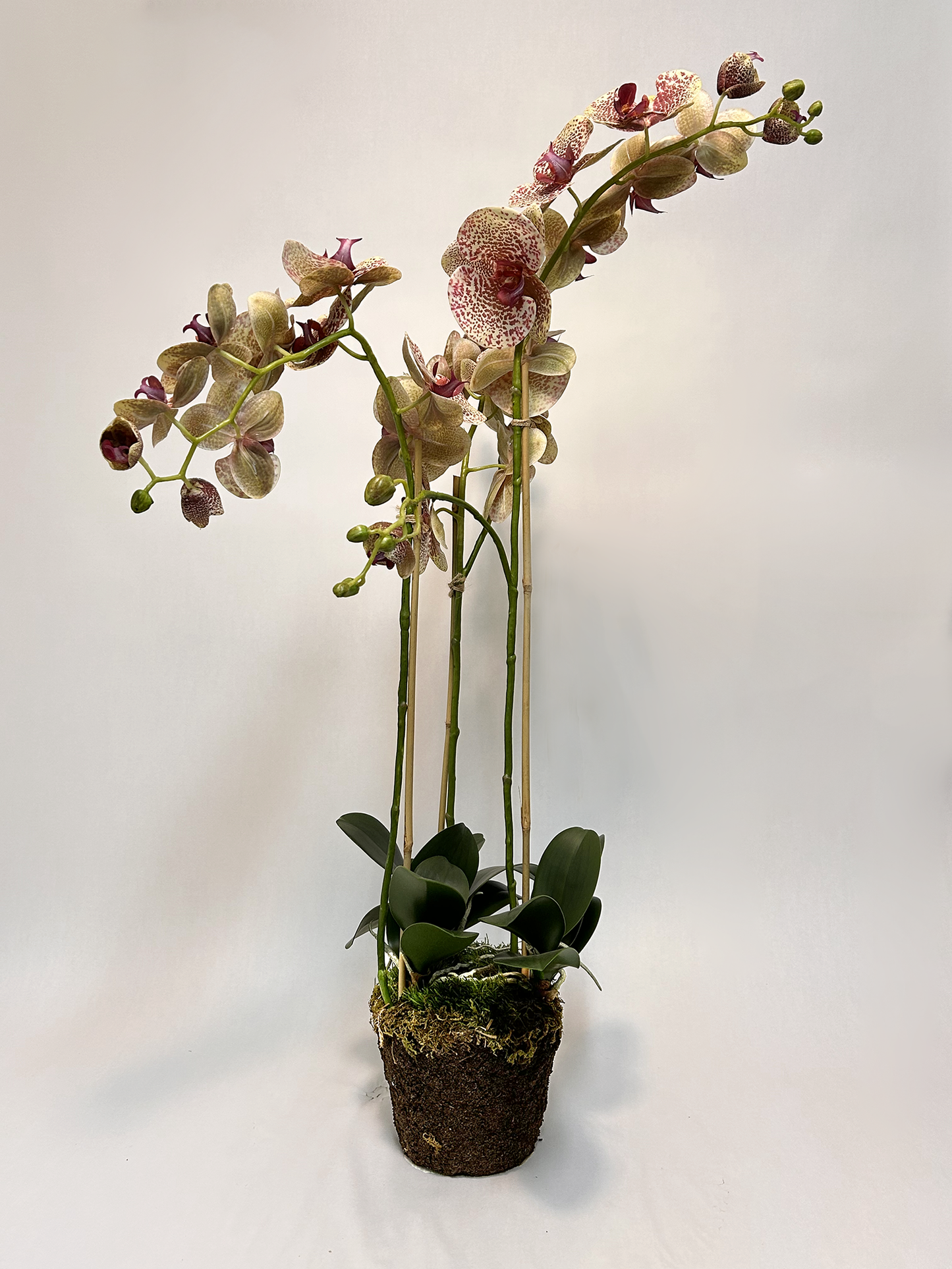 Artificial - Orchid Speckled Rose & White