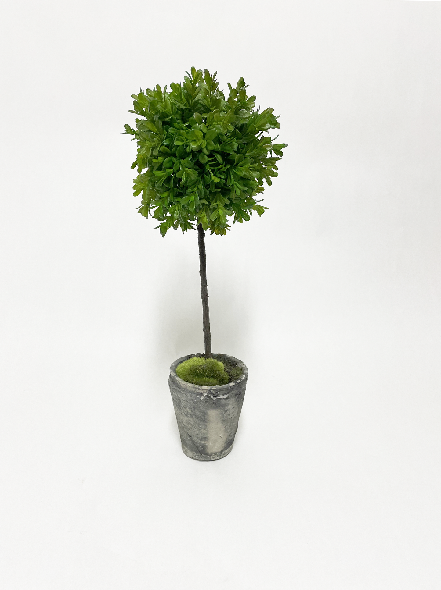 Artificial -Faux Boxwood Topiary Mini with Moss