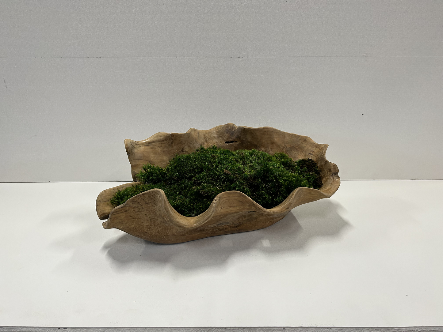 Teak Bowl Moss2